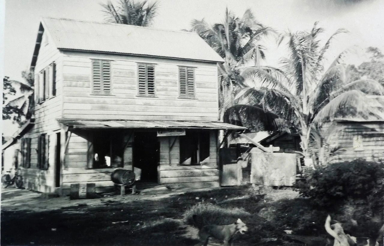 Historische zwart-witfoto van een houten winkelhuis met luiken, omringd door palmbomen.